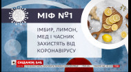 Способны ли имбирь, лимон, мед и чеснок защитить от коронавируса – Мифы о COVID-19