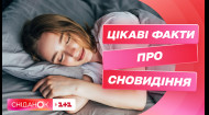 Почему мы видим сны и чем полезны ночные кошмары – сомнолог Дарья Пилипенко