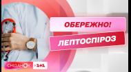 Чем опасен лептоспироз и как от него уберечься
