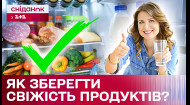 Еда не испортится! Действенные советы как хранить продукты в жару